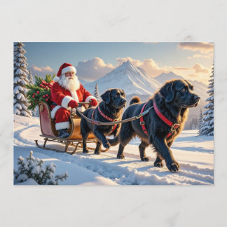 Tarjeta Festiva Newfoundlander Christmas Card