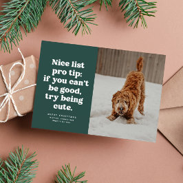 Tarjeta Festiva Nice list funny cute green pet photo Christmas