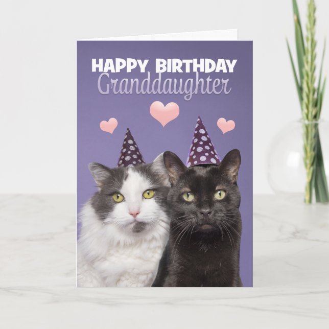 Tarjeta Festiva Nieta de cumpleaños feliz con dos gatos adorables  (Anverso)