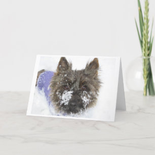 Tarjeta Festiva ¡Nieve!