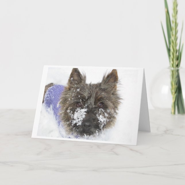 Tarjeta Festiva ¡Nieve! (Anverso)