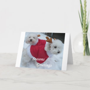 Tarjeta Festiva Nieve Babys