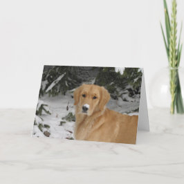 Tarjeta Festiva Nieve de oro
