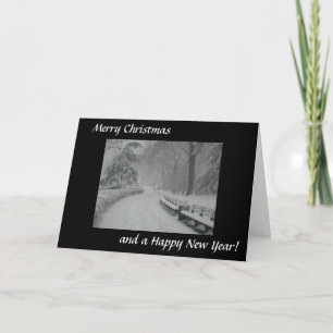Tarjeta Festiva Nieve en Central Park
