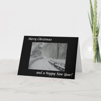 Tarjeta Festiva Nieve en Central Park