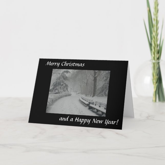 Tarjeta Festiva Nieve en Central Park (Anverso)