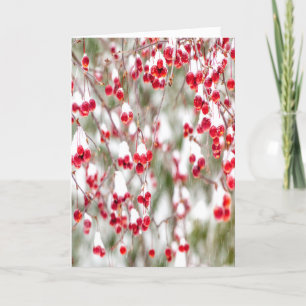 Tarjeta Festiva Nieve en colores de Navidades blancos rojos Berrie