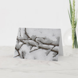 Tarjeta Festiva Nieve en rama de árbol