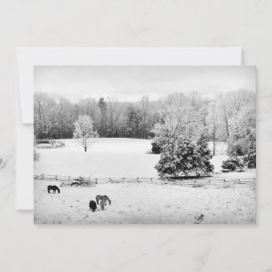 Tarjeta Festiva Nieve fresca caída en el Rancho de Caballos