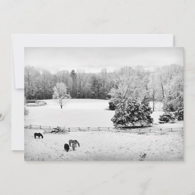 Tarjeta Festiva Nieve fresca caída en el Rancho de Caballos (Anverso)