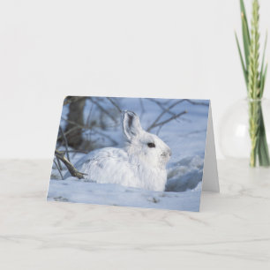 Tarjeta Festiva Nieve: liebre en nieve
