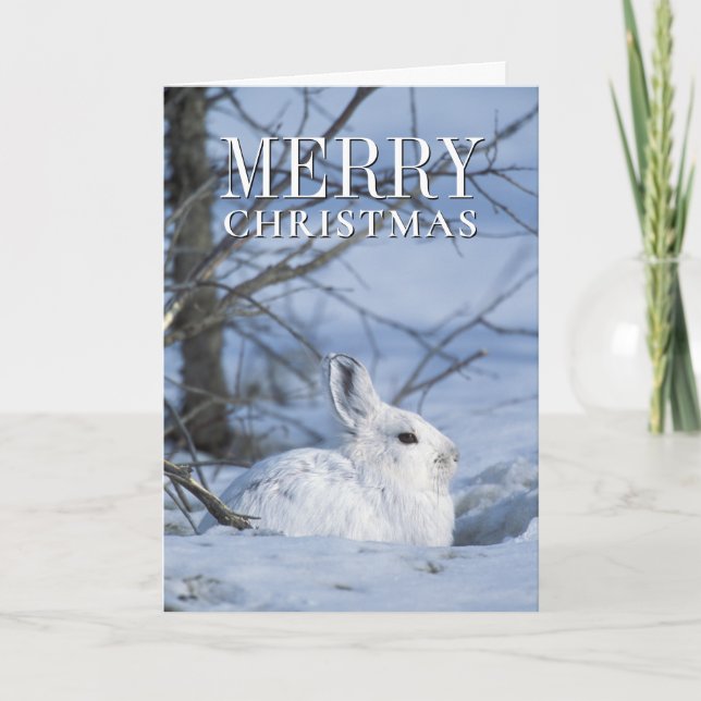 Tarjeta Festiva Nieve: liebre en nieve (Anverso)