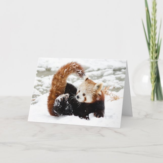 Tarjeta Festiva Nieve roja panda (Anverso)