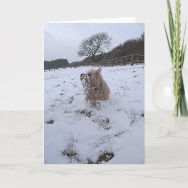 Tarjeta Festiva Nieve Westie (Anverso)