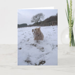 Tarjeta Festiva Nieve Westie