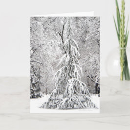 Tarjeta Festiva -Ningún Copo De Nieve Cae En El Lugar Equivocado.