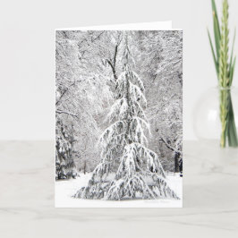 Tarjeta Festiva -Ningún Copo De Nieve Cae En El Lugar Equivocado.