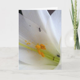 Tarjeta Festiva No dejes que te lleguen las pequeñas cosas...