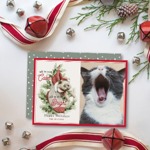 Tarjeta Festiva No todo es un gato gracioso en una foto rebosante