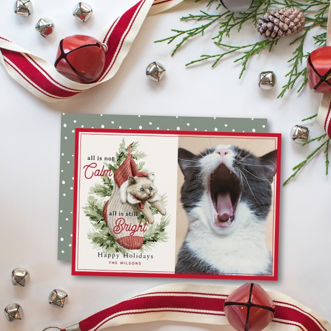Tarjeta Festiva No todo es un gato gracioso en una foto rebosante (Subido por el creador)