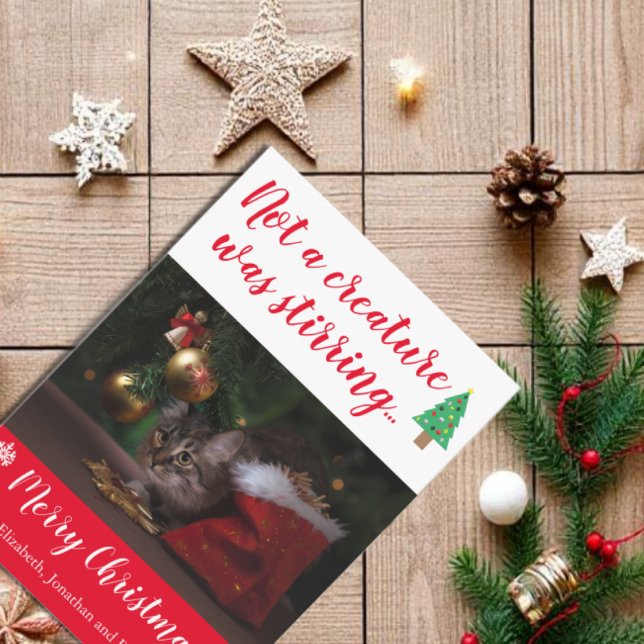 Tarjeta Festiva No Una Creatura Era Una Fotos Mascotas Que Llama L (Subido por el creador)