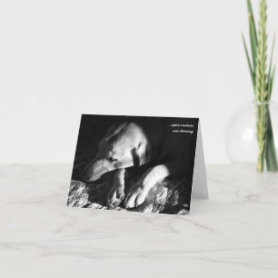 Tarjeta Festiva … no una criatura revolvía