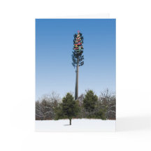 Noche silenciosa (no)