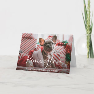 Tarjeta Festiva Nombre de perro moderno y audaz Foto de perro eleg