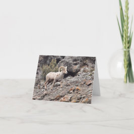 Tarjeta Festiva North Fork Ram - 4" x 5.6" Notecard