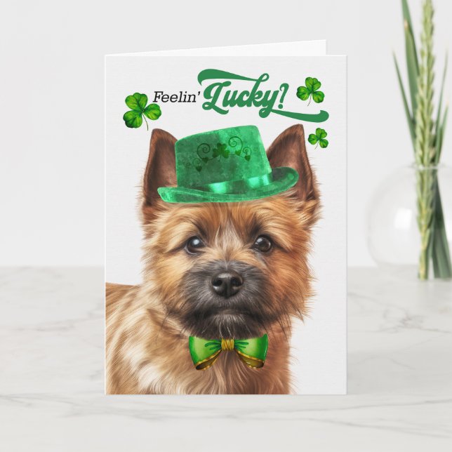 Tarjeta Festiva Norwich Terrier Dog Feelin' Lucky St Patrick's Day (Anverso)