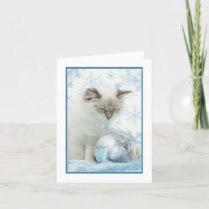 Tarjeta Festiva notecard del invierno del ragdoll