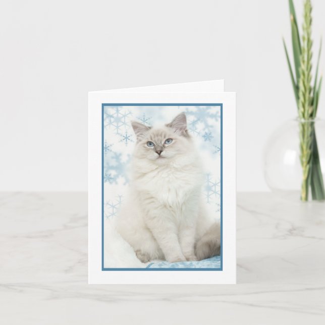 Tarjeta Festiva notecard ragdoll de invierno (Anverso)