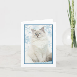 Tarjeta Festiva notecard ragdoll de invierno
