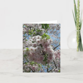 Tarjeta Festiva Nuevo Año-Keigo-NY de las flores de cerezo