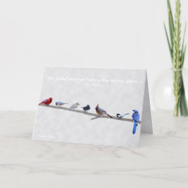 Tarjeta Festiva Nunca cae un copo de nieve en el lugar equivocado 