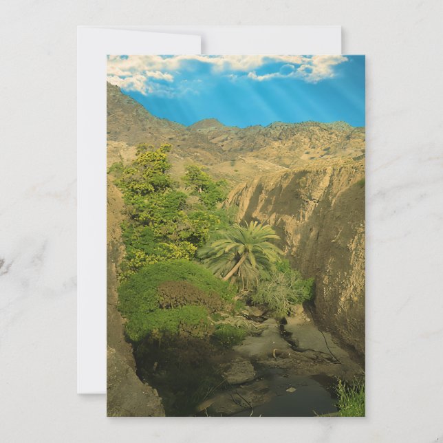 Tarjeta Festiva Oasis oculto (Anverso)