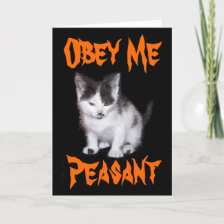 Tarjeta Festiva Obedece me peasant