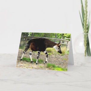 Tarjeta Festiva Ocapi
