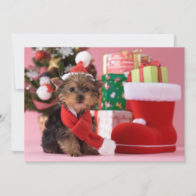 Tarjeta Festiva Ocupación y Navidades de Yorkshire Terrier (Anverso)