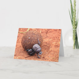 Tarjeta Festiva Ocurre el excremento