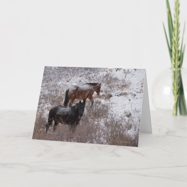 Tarjeta Festiva Ojalá estuviéramos gastando Navidades contigo. (Anverso)
