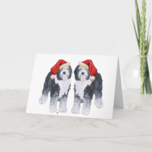 Tarjeta Festiva Old English Sheepdog Gorro de Santa