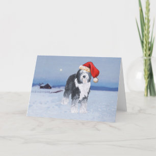 Tarjeta Festiva Old English Sheepdog Gorro de Santa