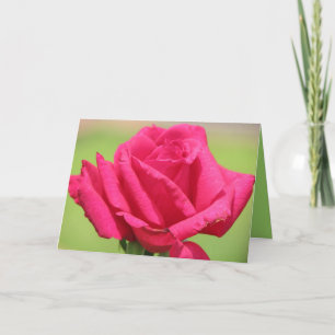 Tarjeta Festiva Olor de los rosas más dulce