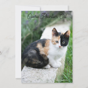 Tarjeta Festiva Opera Gato fantasma