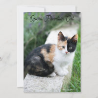 Opera Gato fantasma