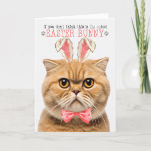 Tarjeta Festiva Orang Scottish Fold Cutest Easter Bunny Kitty Puns