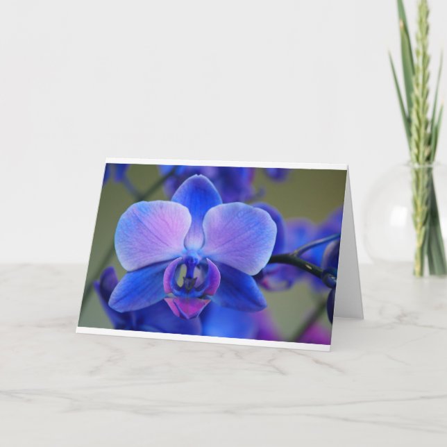 Tarjeta Festiva Orquídea azul y rosa (Anverso)
