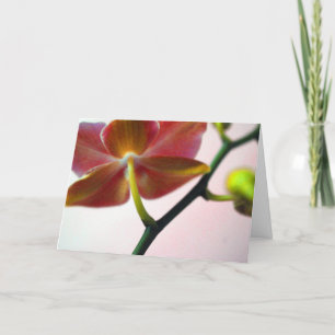Tarjeta Festiva Orquídea del Haiku