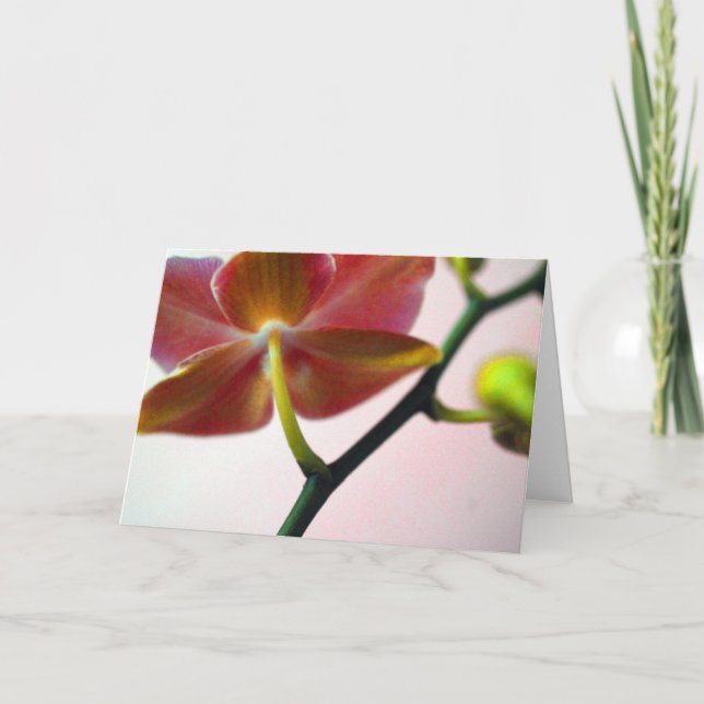 Tarjeta Festiva Orquídea del Haiku (Anverso)